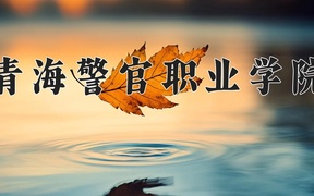 2024年青海警官职业学院录取分数线，青海最低320分
