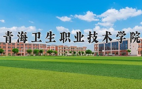 2024年青海卫生职业技术学院录取分数线，青海最低291分