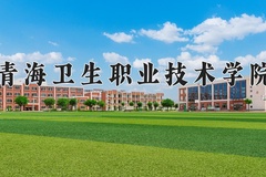 2024年青海卫生职业技术学院录取分数线，青海最低291分