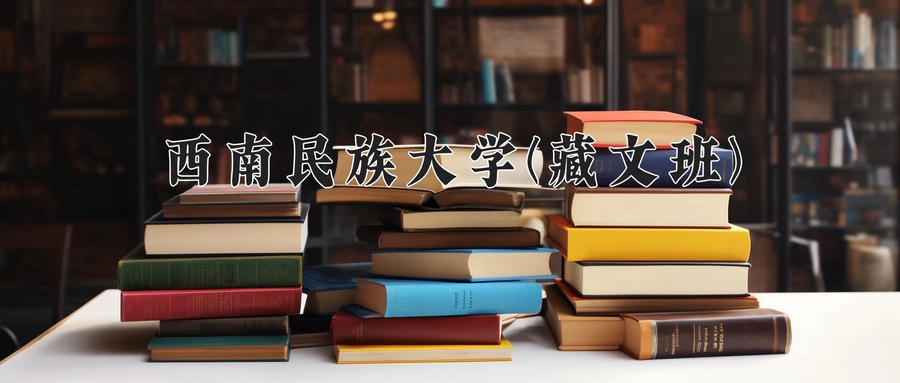 西南民族大学(藏文班)