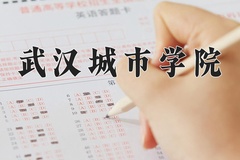 2024年武汉城市学院录取分数线，青海最低331分