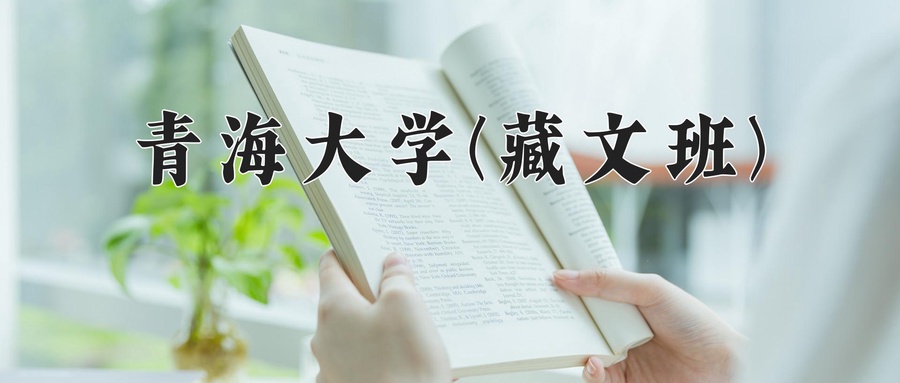 青海大学(藏文班)