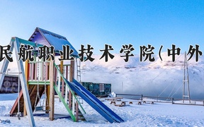 2024年广州民航职业技术学院(中外合作)录取分数线，青海最低297分