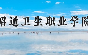 2024年昭通卫生职业学院录取分数线，青海最低276分