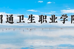 2024年昭通卫生职业学院录取分数线，青海最低276分