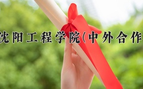 2024年沈阳工程学院(中外合作)录取分数线，青海最低198分