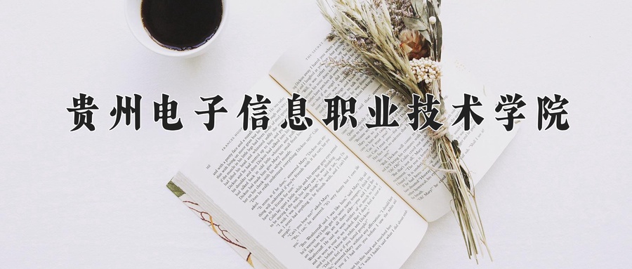 贵州电子信息职业技术学院