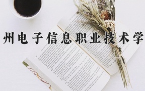 2024年贵州电子信息职业技术学院录取分数线，青海最低236分
