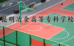 2024年昆明冶金高等专科学校录取分数线，青海最低241分