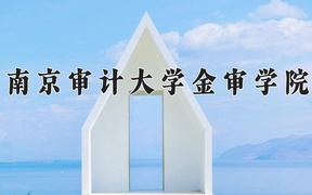 2024年南京审计大学金审学院录取分数线，青海最低353分