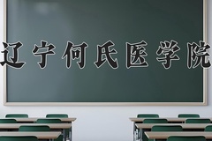 2024年辽宁何氏医学院在辽宁计划招生人数（附学费及专业录取分)