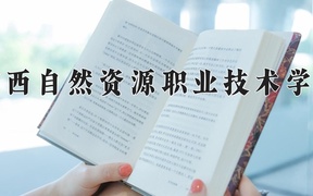 2024年广西自然资源职业技术学院录取分数线，宁夏最低238分