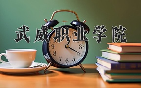 2024年武威职业学院录取分数线，宁夏最低313分