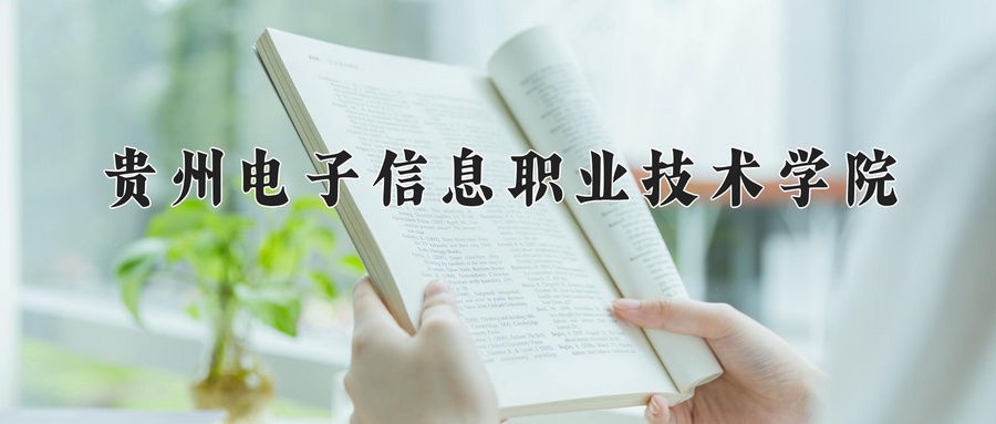 2024年贵州电子信息职业技术学院在辽宁计划招生人数（附学费及专业录取分)
