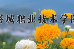 2024年塔城职业技术学院录取分数线，宁夏最低281分