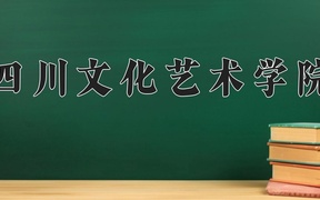 2024年四川文化艺术学院在辽宁计划招生人数（附学费及专业录取分)