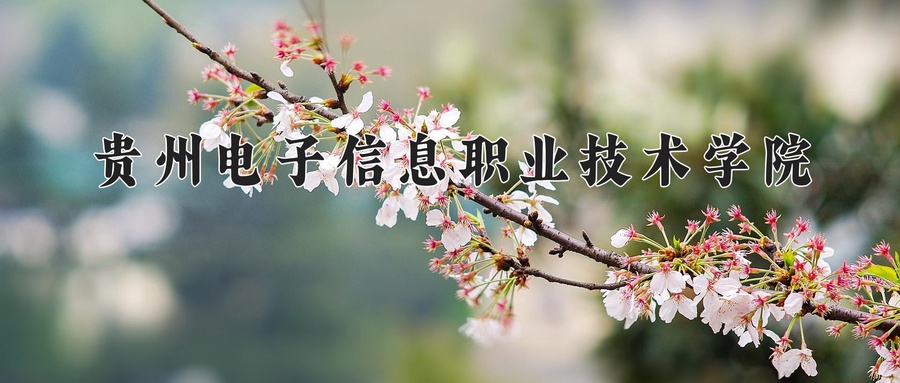 贵州电子信息职业技术学院