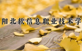 2024年沈阳北软信息职业技术学院在辽宁计划招生人数（附学费及专业录取分)