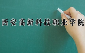 2024年西安高新科技职业学院录取分数线，宁夏最低318分
