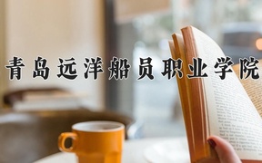 2024年青岛远洋船员职业学院在辽宁计划招生人数（附学费及专业录取分)
