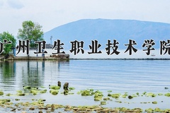 2024年广州卫生职业技术学院录取分数线，宁夏最低313分