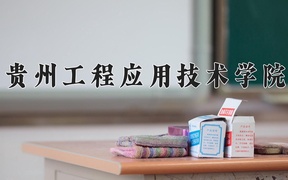 2024年贵州工程应用技术学院在辽宁计划招生人数（附学费及专业录取分)