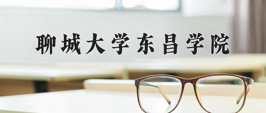 聊城大学东昌学院