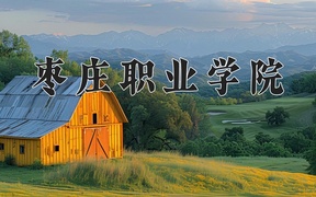 2024年枣庄职业学院录取分数线，宁夏最低283分