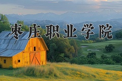 2024年枣庄职业学院录取分数线，宁夏最低283分