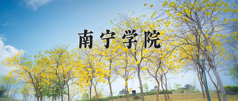 2024年南宁学院在辽宁计划招生人数（附学费及专业录取分)