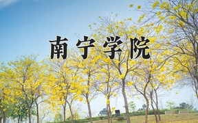 2024年南宁学院在辽宁计划招生人数（附学费及专业录取分)