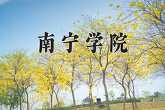 2024年南宁学院在辽宁计划招生人数（附学费及专业录取分)