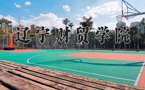 2024年辽宁财贸学院在辽宁计划招生人数（附学费及专业录取分)