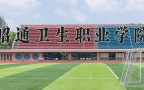 2024年昭通卫生职业学院录取分数线，宁夏最低317分