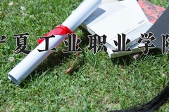 2024年宁夏工业职业学院录取分数线，宁夏最低345分