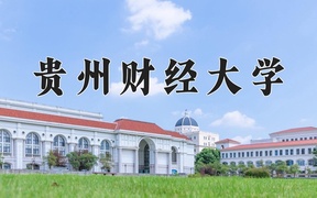 2024年贵州财经大学录取分数线，宁夏最低411分