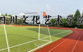 2024年四川文化艺术学院录取分数线，宁夏最低241分