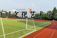 2024年四川文化艺术学院录取分数线，宁夏最低241分
