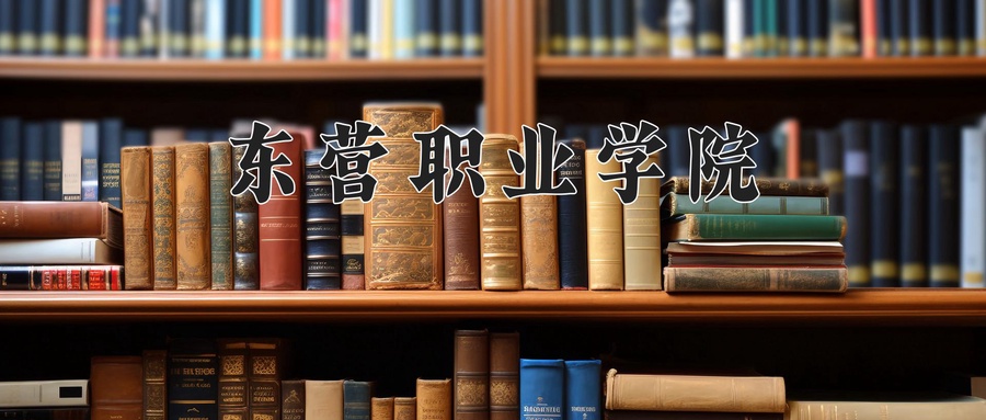 东营职业学院