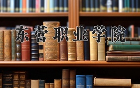 2024年东营职业学院录取分数线，宁夏最低309分