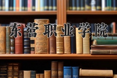 2024年东营职业学院录取分数线，宁夏最低309分
