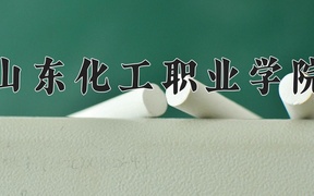 2024年山东化工职业学院录取分数线，宁夏最低332分