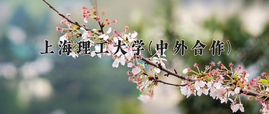 会展经济与管理学费多少？附河南2024年招生的大学