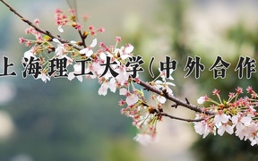会展经济与管理学费多少？附河南2024年招生的大学