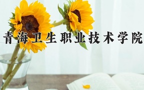 2024年青海卫生职业技术学院在辽宁计划招生人数（附学费及专业录取分)