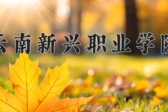 2024年云南新兴职业学院录取分数线，宁夏最低208分