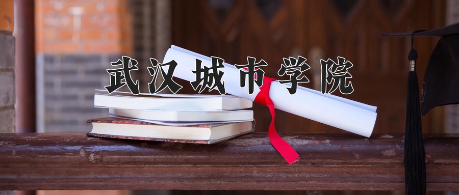 2024年武汉城市学院录取分数线，宁夏最低401分-第1张图片-索考网