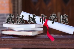 2024年武汉城市学院录取分数线，宁夏最低401分