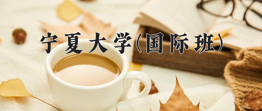 宁夏大学(国际班)