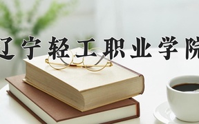 2024年辽宁轻工职业学院录取分数线，宁夏最低218分
